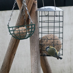 20201209-002.jpg