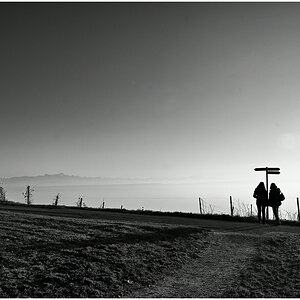 comp__DSC4368 Kopie_01.jpg