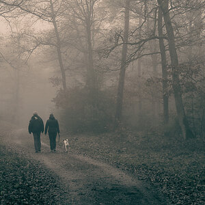 Hunderunde