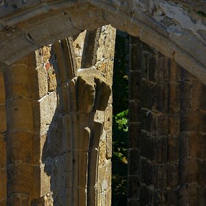 DSC_0166_00001n.jpg
