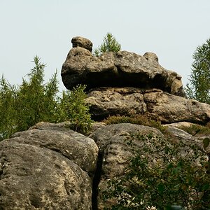 DSC_0244_00001n.jpg