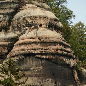 DSC_0254_00001n.jpg