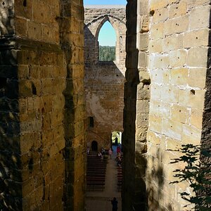 DSC_0866_00001n.jpg