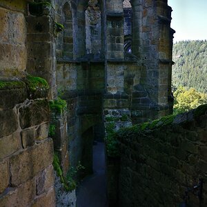 DSC_0872n.jpg