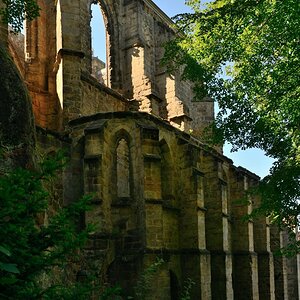 DSC_0878_00001n.jpg