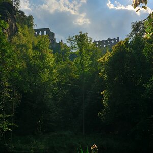 DSC_0995_00001n.jpg