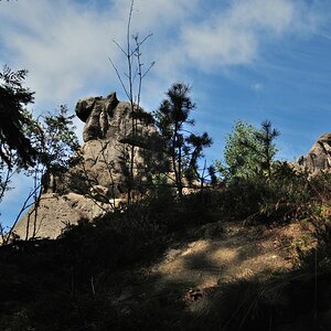 DSCN2083n.jpg