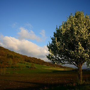 DSC_0329n.JPG