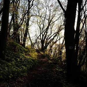 DSC_0345n.JPG