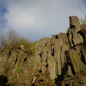 DSC_0355n.JPG