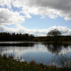 DSC_0421n.JPG
