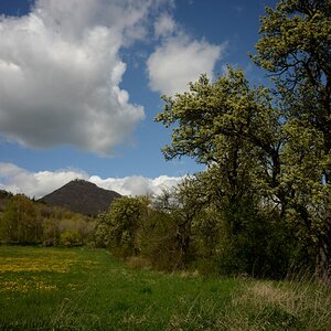 DSC_0494n.JPG