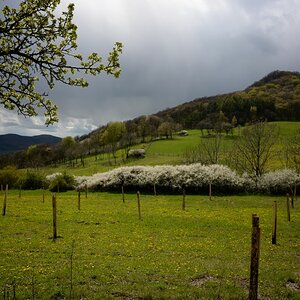 DSC_0539n.JPG