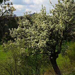 DSC_4317 (2)n.JPG