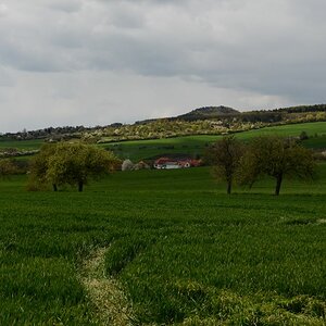 DSC_4375n.JPG