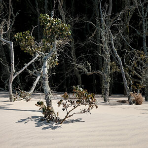 167-20200919142444.jpg
