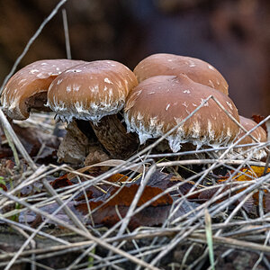OF5_06449.jpg