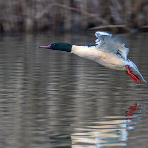 OF5_06509.jpg