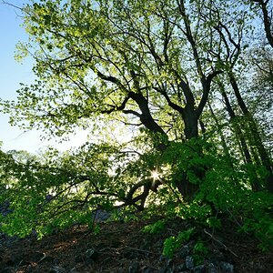 DSC_0087_00001n.jpg