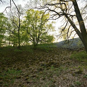 DSC_0096_00001n.jpg