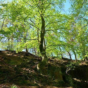 DSC_0120_00001n.jpg