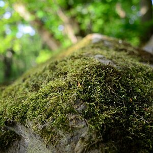 DSC_2049_00001n.jpg