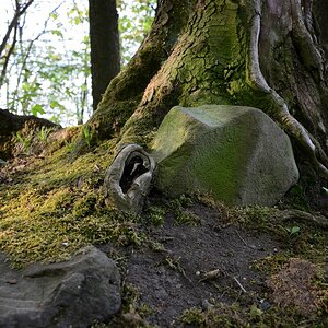 DSC_2064_00001n.jpg