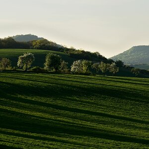 DSC_5951_00001n.jpg