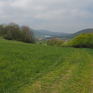 P4240189n.JPG