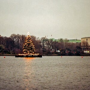 TZ_017_19A.jpg