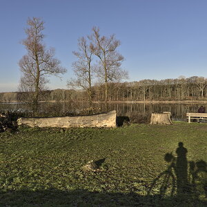 hullern5_5245.jpg