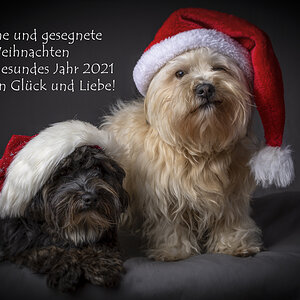 Weihnachten_1200.jpg