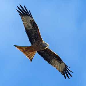 OF5_06627.jpg