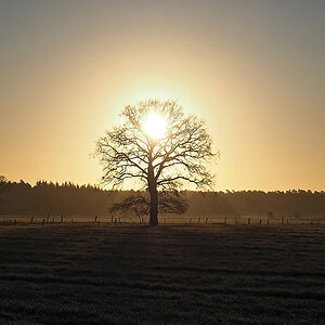 Hämelheide.jpg