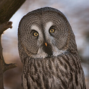 DSC_5011-Bearbeitet-1.jpg