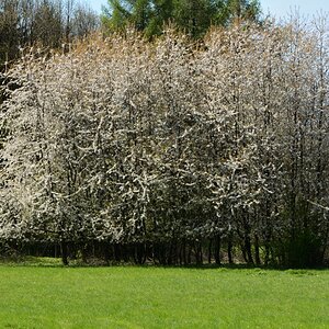 DSC_0565_00001n2.jpg