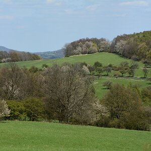 DSC_0571_00001n.jpg