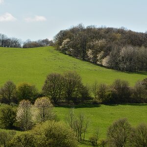 DSC_0575_00001n.jpg