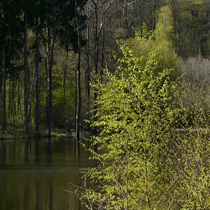 DSC_0591_00001n.jpg