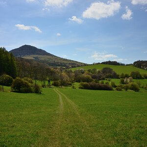 DSC_1126_00001n1.jpg