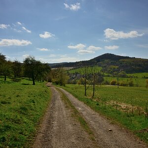 DSC_1131_00001n.jpg