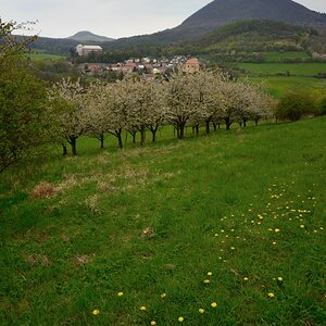 DSC_1165_00001n.jpg
