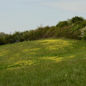 DSC_4815_00001n.jpg