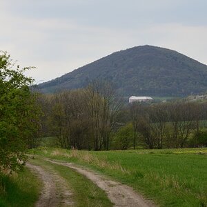 DSC_4849_00001n.jpg