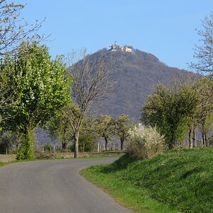 DSCN4208n.JPG
