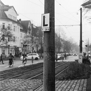 20201230-004.jpg