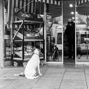 20201230-008.jpg