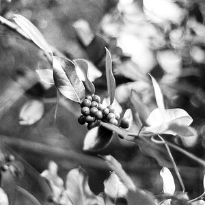 20201230-014.jpg
