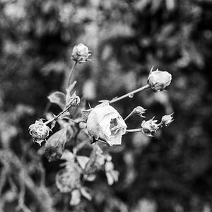 20201230-021.jpg