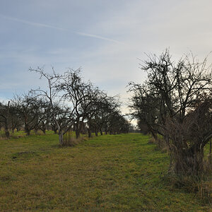 DSC_6080.JPG
